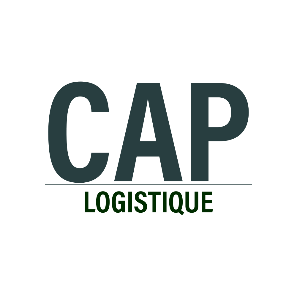 LOGO AD TRANSPORT DEMENAGEMENT BLANC